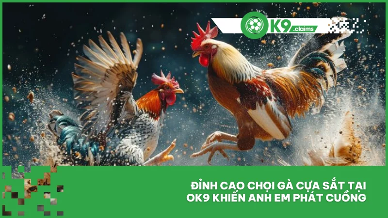 Đỉnh cao chọi gà cựa sắt tại ok9 khiến anh em phát cuồng