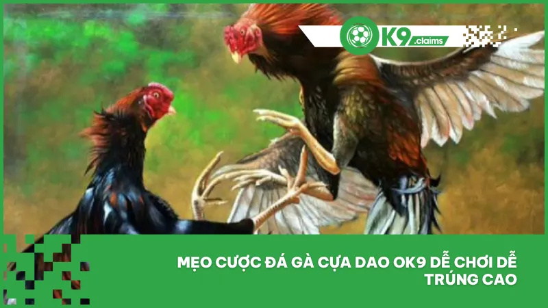 Mẹo cược đá gà cựa dao ok9 dễ chơi dễ trúng cao